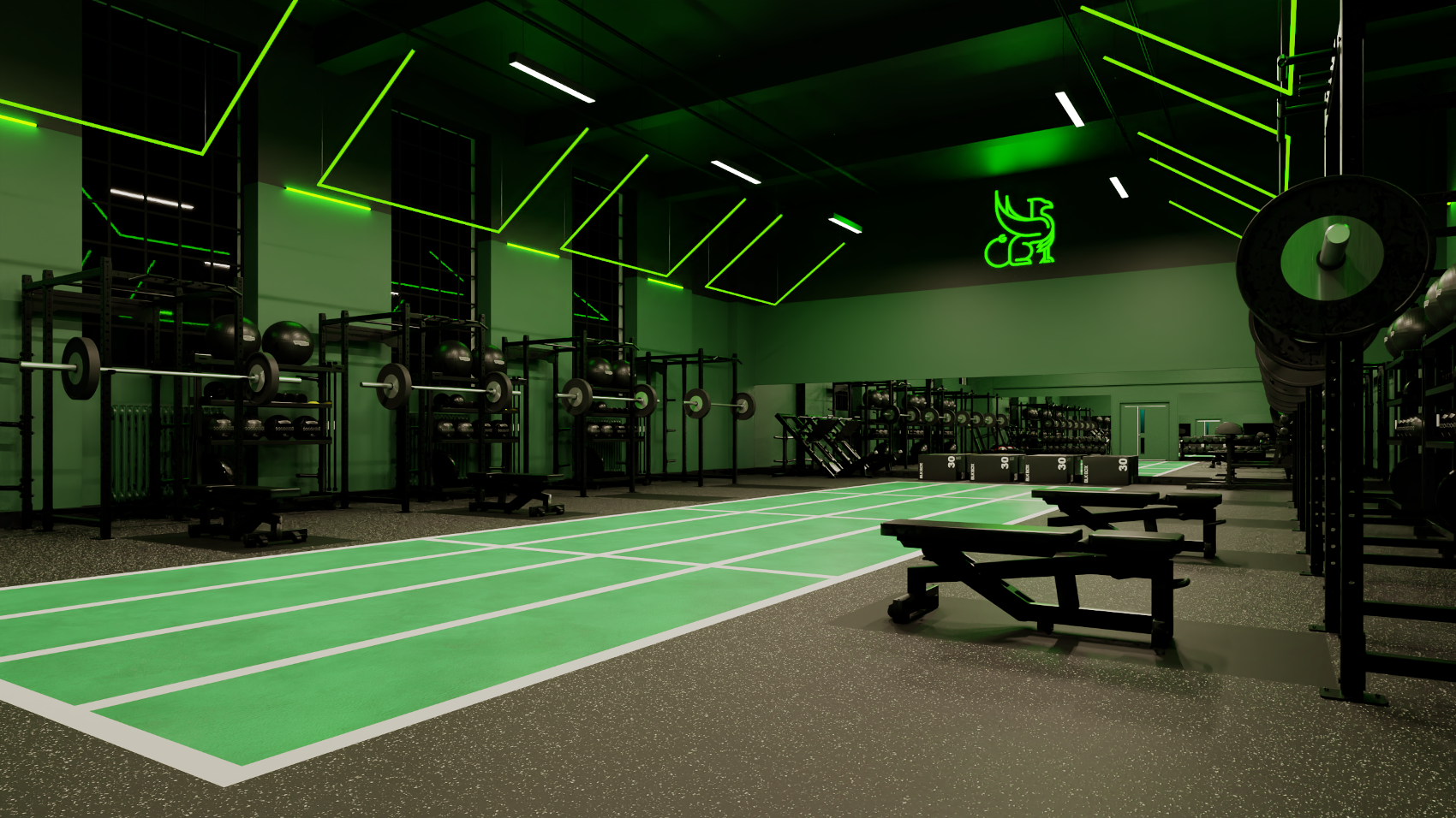 strength and conditioning gym design with equipment